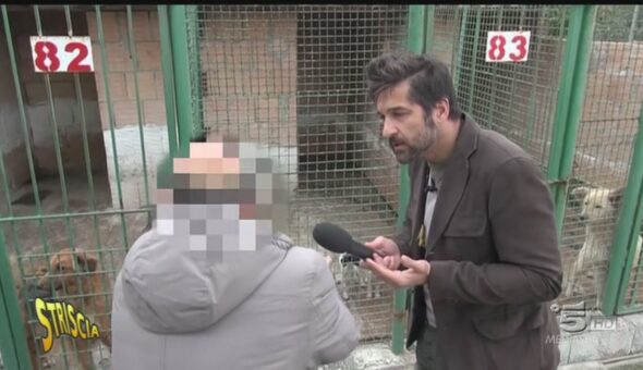 Canile degli orrori a Sant'Ilario dello Ionio