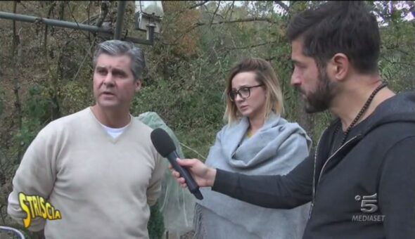 Cani uccisi a fucilate