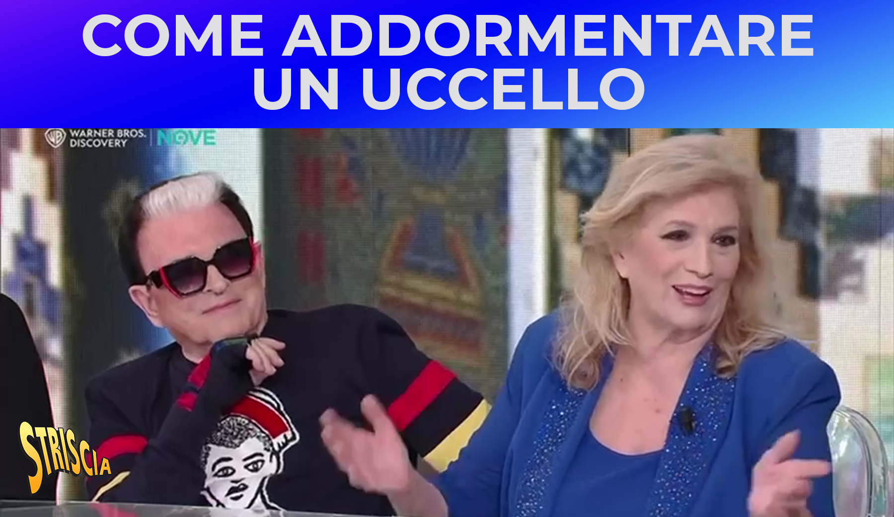 Iva Zanicchi spiega come “addormentare un uccello”