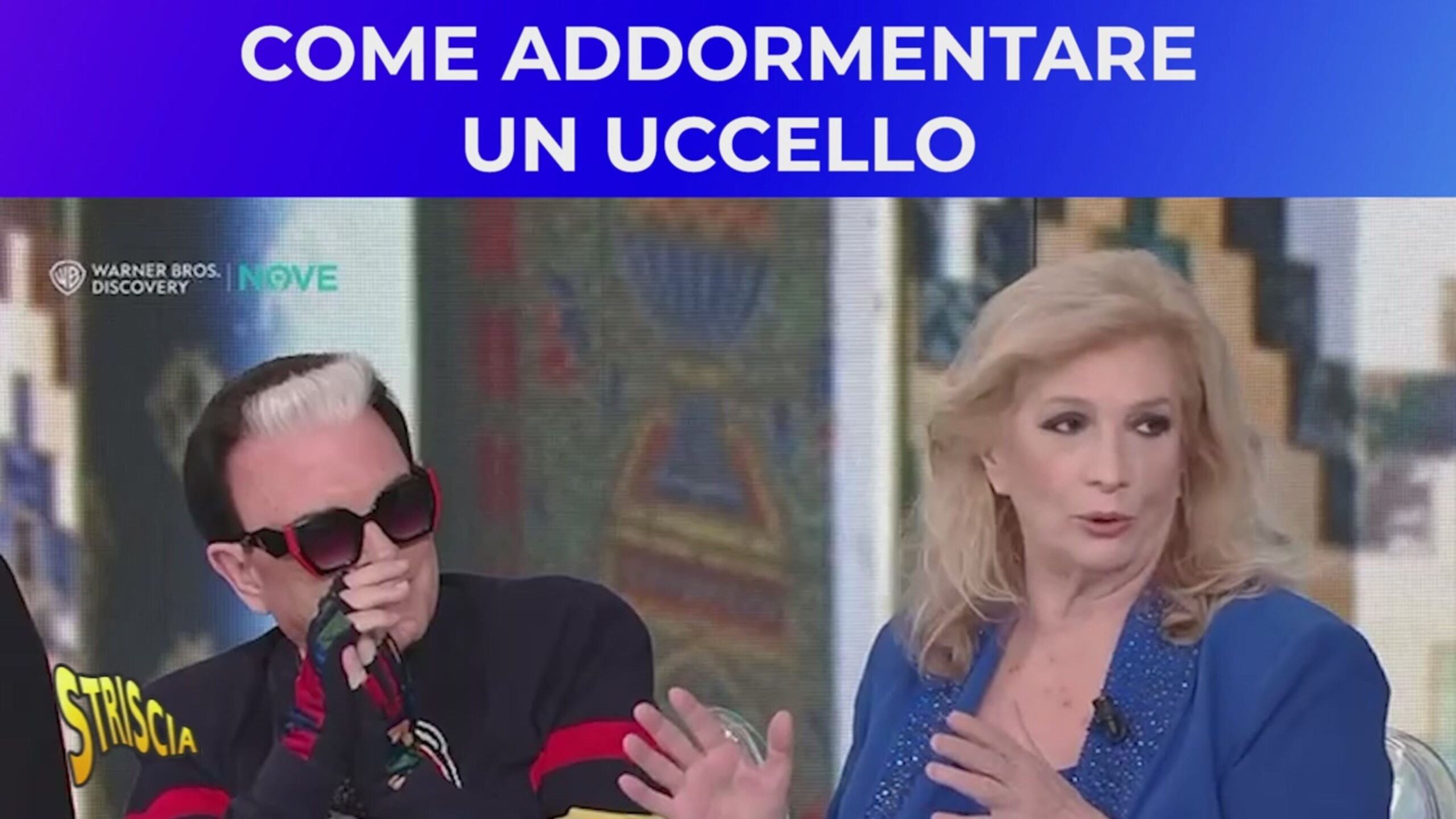 Iva Zanicchi spiega come “addormentare un uccello”