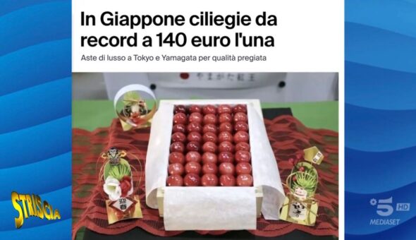 “In Giappone una ciliegia costa 140 euro”: il servizio di Francesco Mazza