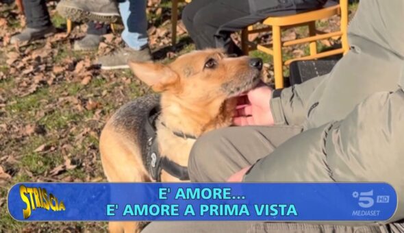 E se fossero i cani ad adottare le persone? Il servizio di Rajae