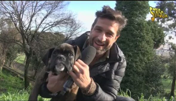 Cani, divieto di taglio di orecchie e coda