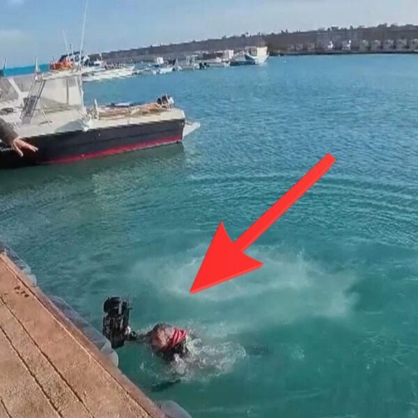 Cameraman di Striscia scaraventato in mare nel crotonese durante l’inchiesta di Michele Macrì sulla pesca illegale del bianchetto