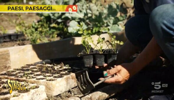 Cartosio (AL), torna il 22 marzo la “Primavera fruttuosa”: festa dedicata alla tutela dei frutti antichi e della biodiversità. Una mission condivisa da Striscia