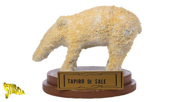 Il Tapiro di sale oggetto delle inchieste sulle truffe di Wanna Marchi. Venite a vederlo esposto nel museo di Striscia