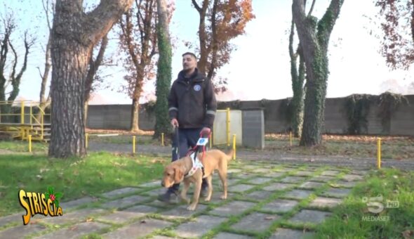 Cani guida per non vedenti: gli “angeli custodi” del centro Lions di Limbiate (MB)