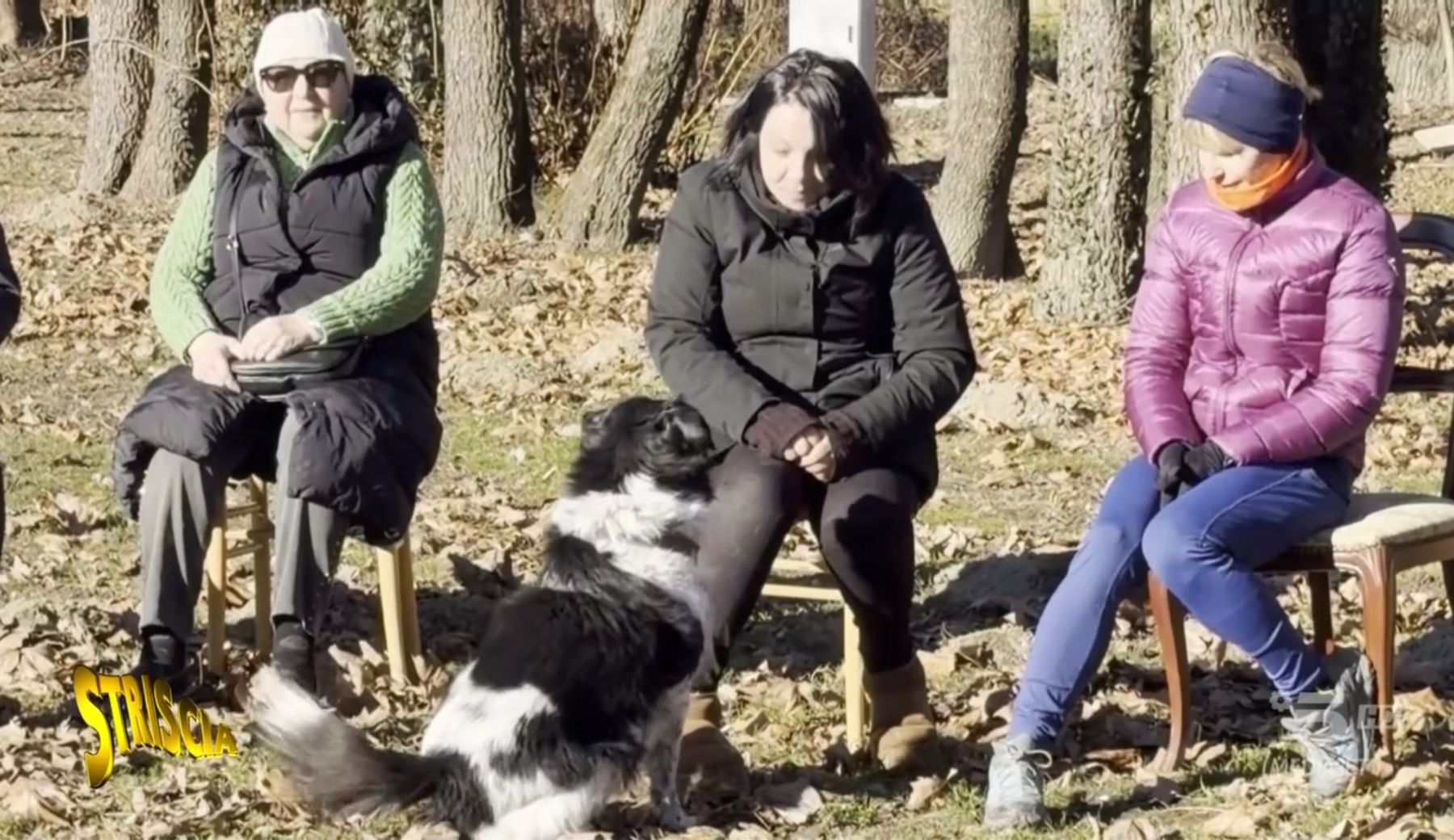 E se fossero i cani ad adottare le persone? Il rifugio che ribalta le regole