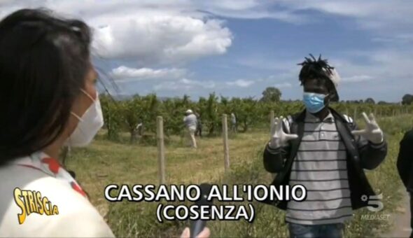 Mafia e caporalato: 4 braccianti bruciati vivi in Calabria. Striscia documentò il fenomeno nel 2020